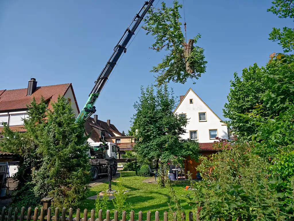 Baumfällung Gerstetten Baumfällung Gerstetten
